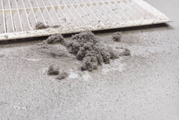 Best Affordable HVAC Duct Cleaning  in Abingdon, IL
