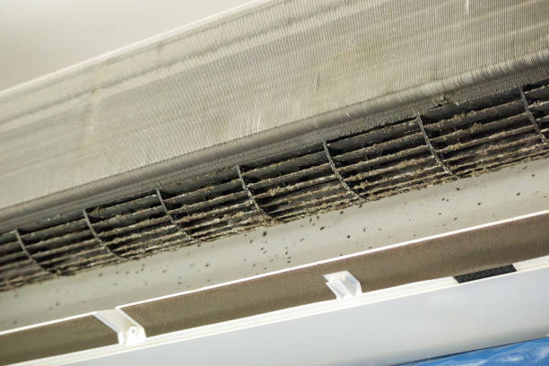 Best Affordable Duct Cleaning Services  in Abingdon, IL